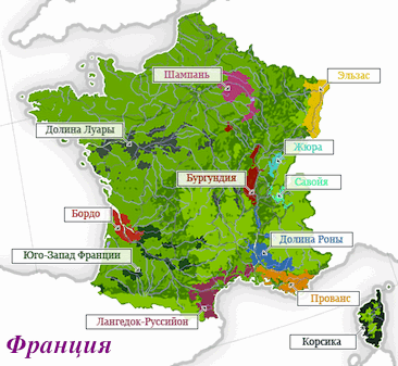 Виноробні райони Франції